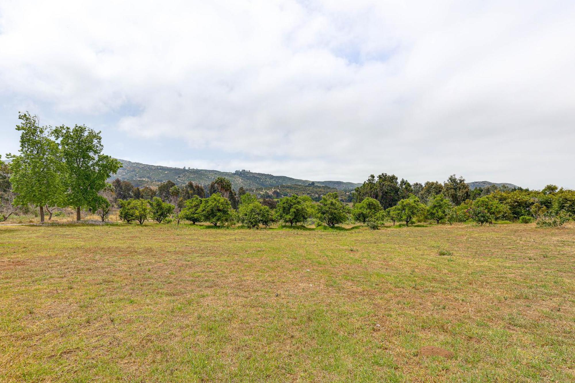 הוילה Escondido Vineyard Estate Walk To Wineries! מראה חיצוני תמונה