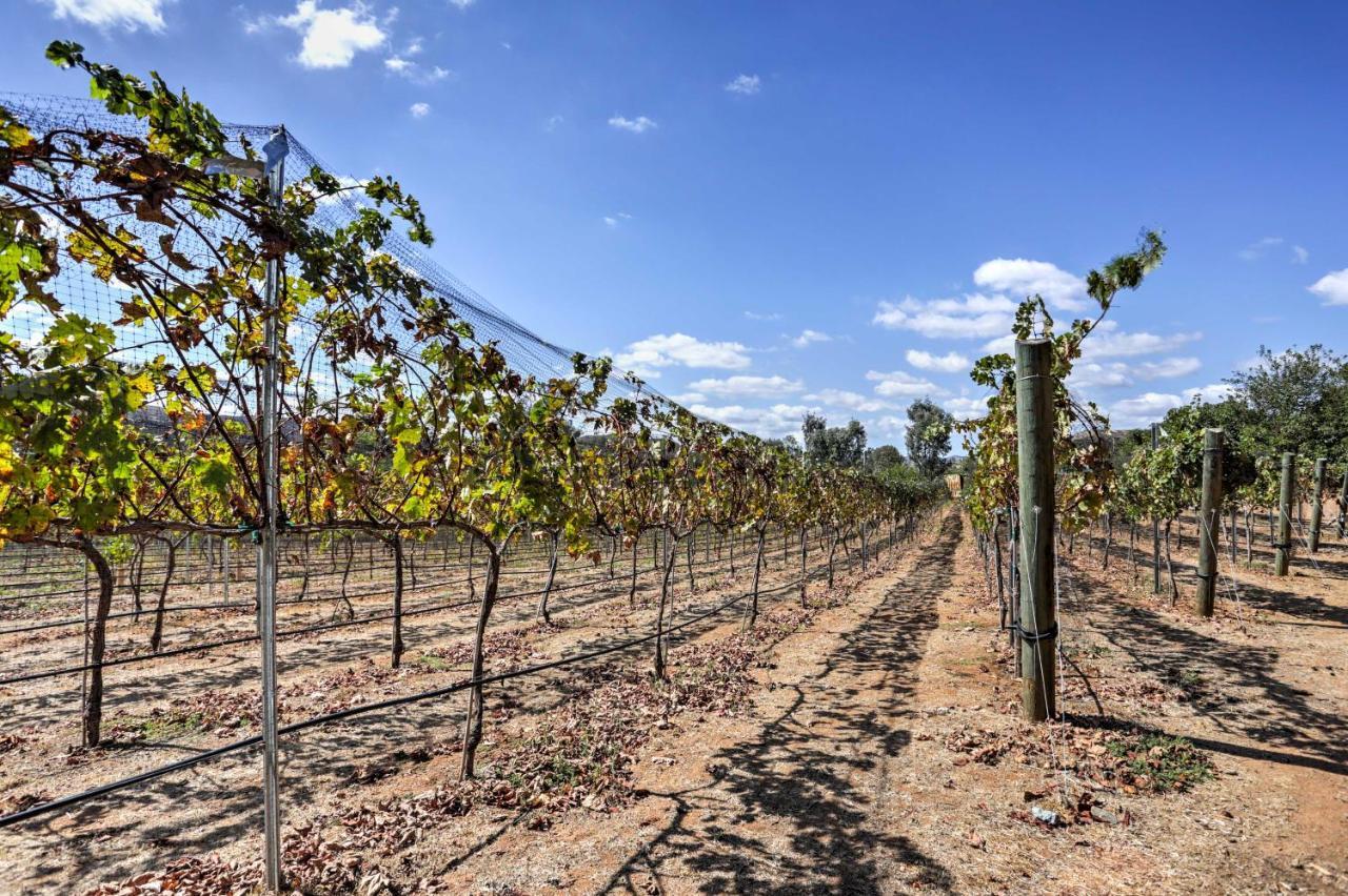 הוילה Escondido Vineyard Estate Walk To Wineries! מראה חיצוני תמונה