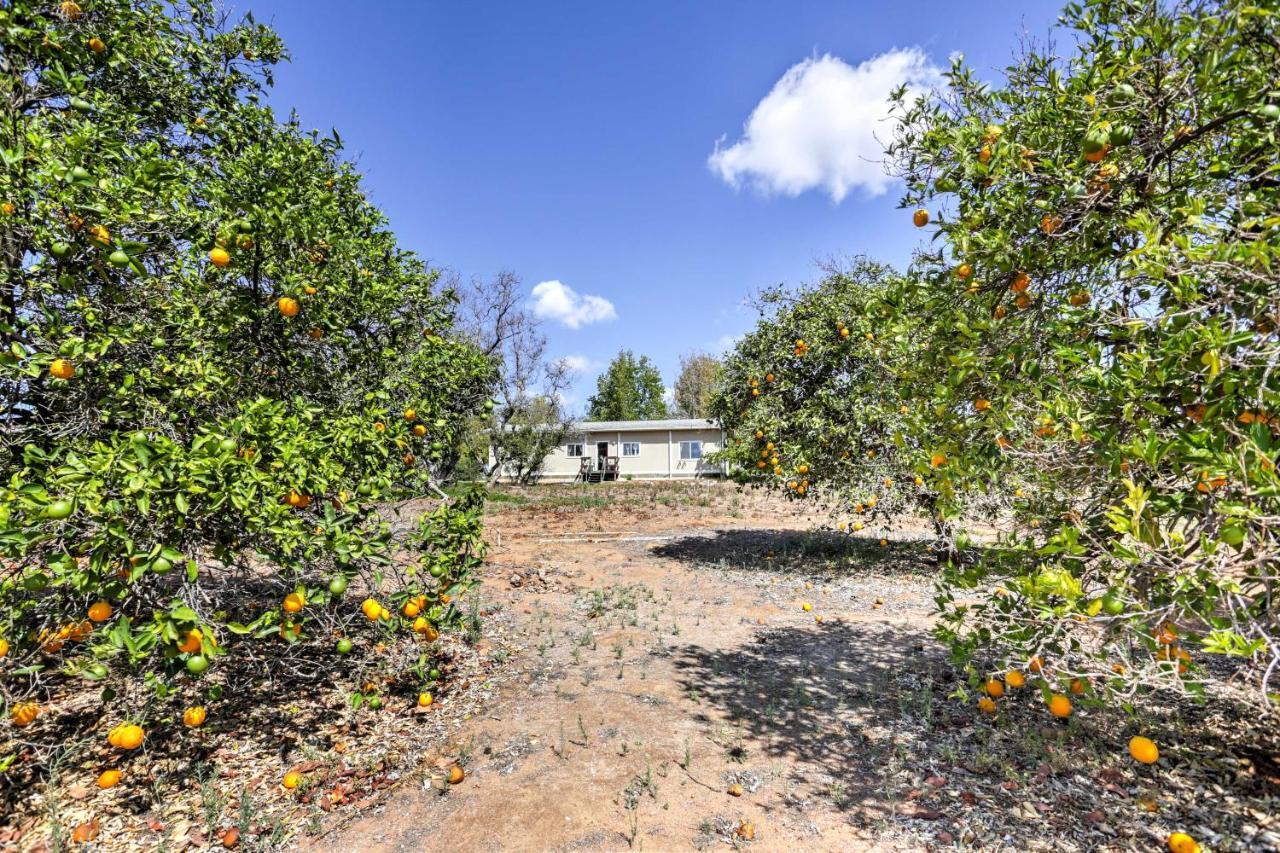 הוילה Escondido Vineyard Estate Walk To Wineries! מראה חיצוני תמונה